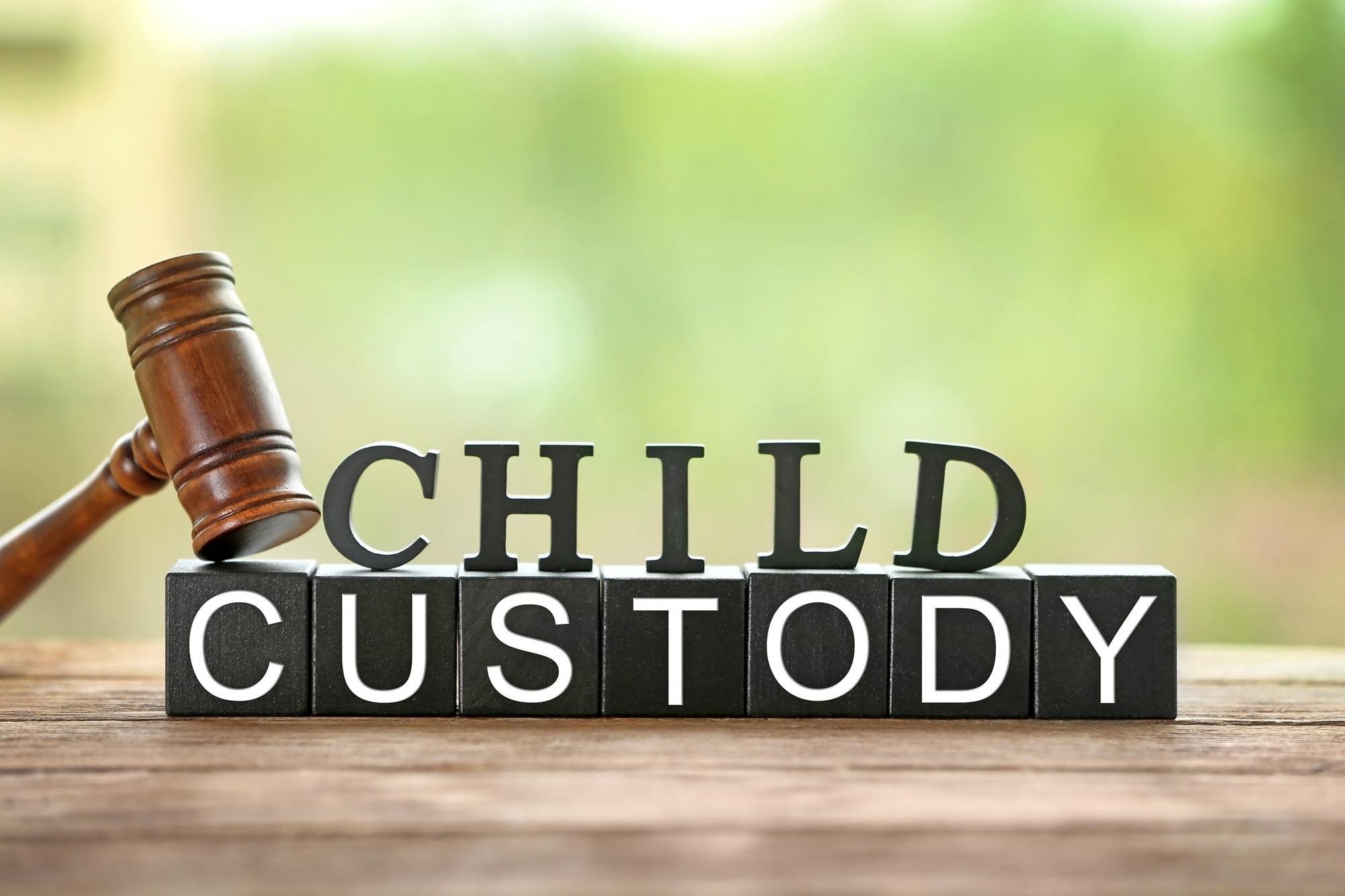 Custody Lawyer